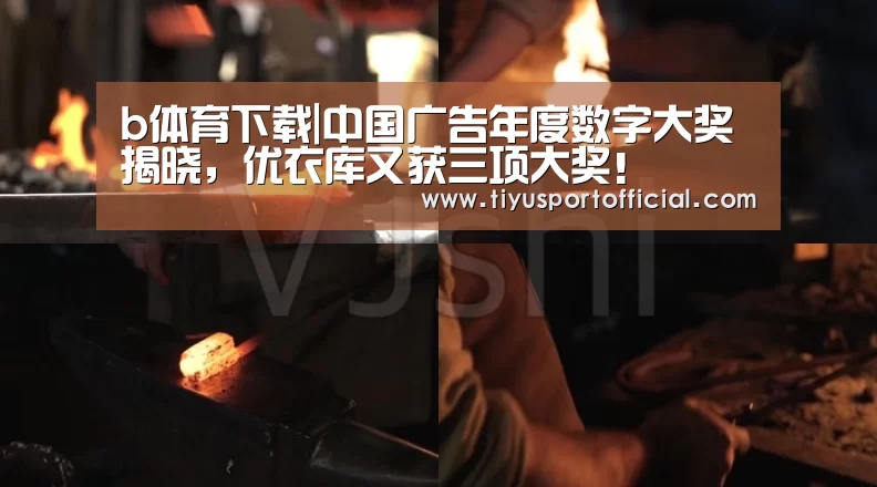 b体育下载|中国广告年度数字大奖揭晓,优衣库又获三项大奖!(图2) b体育