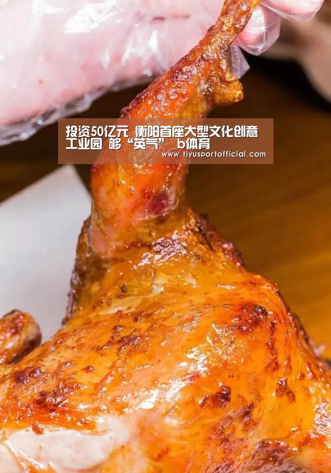 投资50亿元 衡阳首座大型文化创意工业园 够“英气”_b体育(图1) b体育