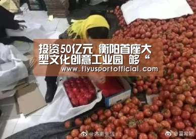 投资50亿元 衡阳首座大型文化创意工业园 够“英气”_b体育(图2) b体育下载