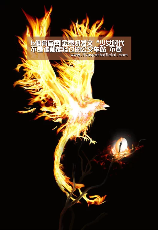 b体育直播