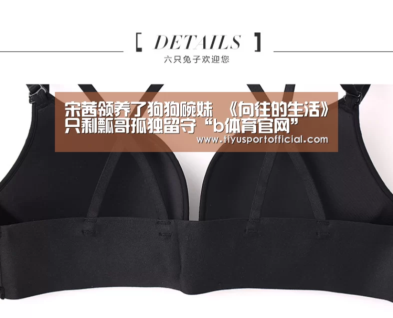 宋茜领养了狗狗碗妹 《向往的生活》只剩瓢哥孤独留守“b体育官网”(图1) b体育官网